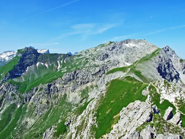 Alpejskie Szczyty Górskie Gorfion Augstenberg Alpach Lichtensteinskich Malbun Liechtenstein — Zdjęcie stockowe