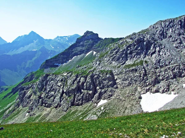 Alpejski Szczyt Górski Gorfion Alpach Lichtensteinskich Malbun Liechtenstein — Zdjęcie stockowe