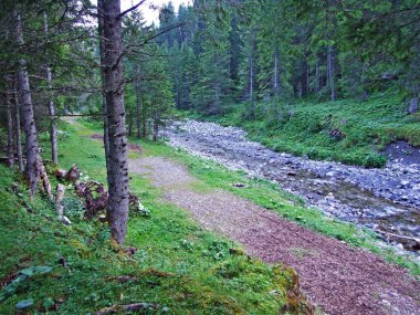 Saminatal Alp Vadisi 'ndeki Valunerbach ya da Valuenerbach deresi ve Lihtenştayn Alpleri - Steg, Lihtenştayn