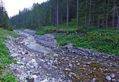Saminatal Alp Vadisi 'ndeki Valunerbach ya da Valuenerbach deresi ve Lihtenştayn Alpleri - Steg, Lihtenştayn