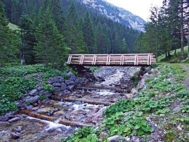 Saminatal Alp Vadisi 'ndeki Valunerbach ya da Valuenerbach deresi ve Lihtenştayn Alpleri - Steg, Lihtenştayn