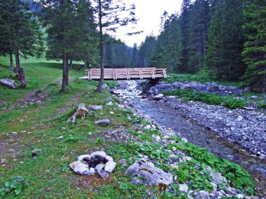 Saminatal Alp Vadisi 'ndeki Valunerbach ya da Valuenerbach deresi ve Lihtenştayn Alpleri - Steg, Lihtenştayn