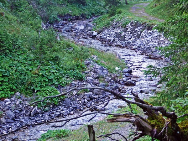 Ποταμός Valunerbach Valuenerbach Στην Κοιλάδα Των Σαμιναταλπικών Και Στις Άλπεις — Φωτογραφία Αρχείου