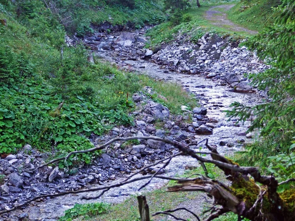 Arroyo Valunerbach Valuenerbach Valle Alpino Saminatal Los Alpes Liechtenstein Steg —  Fotos de Stock