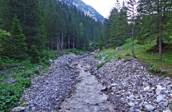 Valunerbach Torrente Valuenerbach Nella Valle Alpina Saminatal Nelle Alpi Liechtenstein — Foto Stock