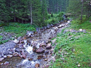 Saminatal Alp Vadisi 'ndeki Valunerbach ya da Valuenerbach deresi ve Lihtenştayn Alpleri - Steg, Lihtenştayn