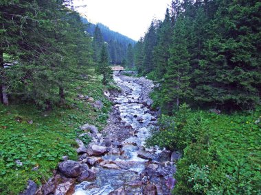 Saminatal Alp Vadisi 'ndeki Valunerbach ya da Valuenerbach deresi ve Lihtenştayn Alpleri - Steg, Lihtenştayn