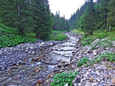 Saminatal Alp Vadisi 'ndeki Valunerbach ya da Valuenerbach deresi ve Lihtenştayn Alpleri - Steg, Lihtenştayn