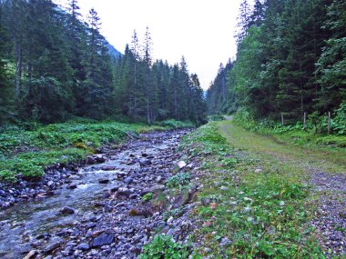 Saminatal Alp Vadisi 'ndeki Valunerbach ya da Valuenerbach deresi ve Lihtenştayn Alpleri - Steg, Lihtenştayn