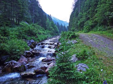 Saminatal Alp Vadisi 'ndeki Valunerbach ya da Valuenerbach deresi ve Lihtenştayn Alpleri - Steg, Lihtenştayn