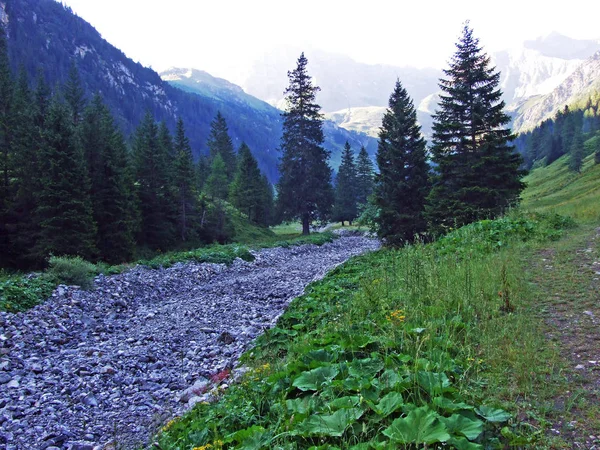 Strumień Valunerbach Lub Valuenerbach Saminatalnej Dolinie Alpejskiej Oraz Alpach Liechtenstein — Zdjęcie stockowe