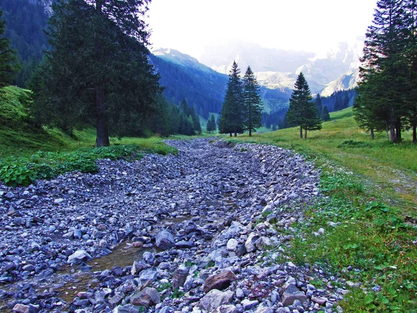 Arroyo Valunerbach Valuenerbach Valle Alpino Saminatal Los Alpes Liechtenstein Steg — Foto de Stock