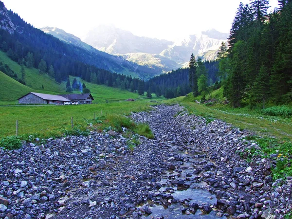 사미나 탈알프스 리히텐슈타인 알프스 산맥에 네르바흐 가치있는 른슈타인 리히텐슈타인 — 스톡 사진