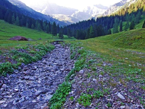 Fluxo Valunerbach Valuenerbach Vale Alpino Saminatal Nos Alpes Liechtenstein Steg — Fotografia de Stock