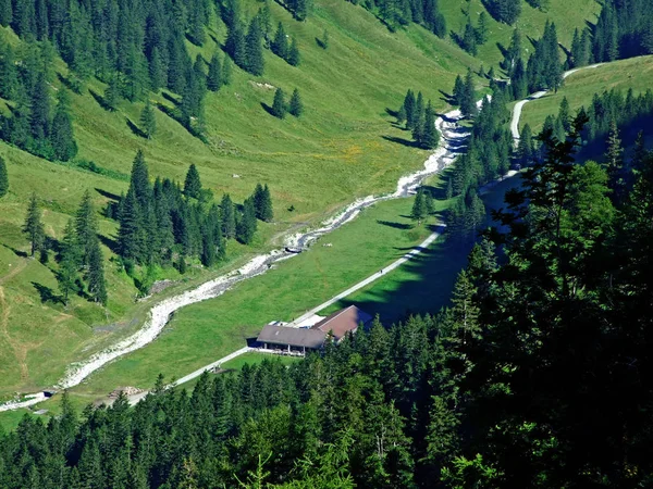 Arroyo Valunerbach Valuenerbach Valle Alpino Saminatal Los Alpes Liechtenstein Steg —  Fotos de Stock