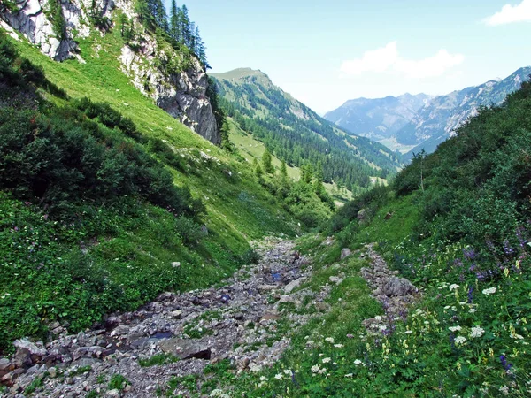 Arroyo Valunerbach Valuenerbach Valle Alpino Saminatal Los Alpes Liechtenstein Steg — Foto de Stock