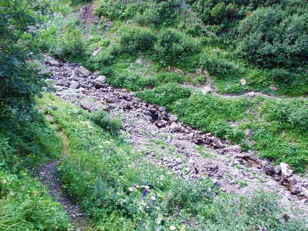 Ποταμός Valunerbach Valuenerbach Στην Κοιλάδα Των Σαμιναταλπικών Και Στις Άλπεις — Φωτογραφία Αρχείου