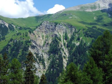 Evergreen ormanı ya da Lihtenştayn Alp dağlarının yamaçlarındaki kozalaklı ağaçlar ve Naaftal ve Saminatal alp vadilerindeki Steg, Lihtenştayn