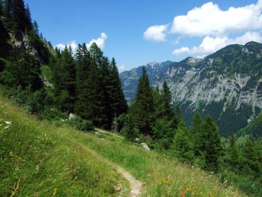 Evergreen ormanı ya da Lihtenştayn Alp dağlarının yamaçlarındaki kozalaklı ağaçlar ve Naaftal ve Saminatal alp vadilerindeki Steg, Lihtenştayn
