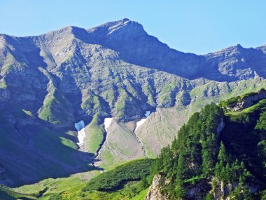 Liechtenstein Alpleri 'nden Ratikon sınır alp dağı kitlesi veya Ratikon Grenzmassiv (oder Raetikon) - Steg, Lihtenştayn