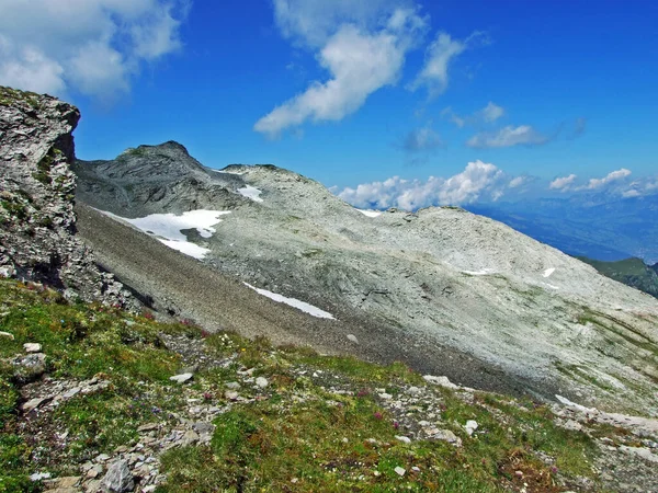 Veduta Del Massiccio Alpino Del Confine Ratikon Ratikon Grenzmassiv Oder — Foto Stock