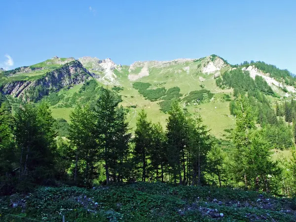 Veduta Delle Pittoresche Cime Del Massiccio Alpino Del Liechtenstein Dalla — Foto Stock