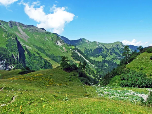 Uitzicht Pittoreske Bergtoppen Van Het Bergmassief Liechtenstein Alpen Vanuit Het — Stockfoto