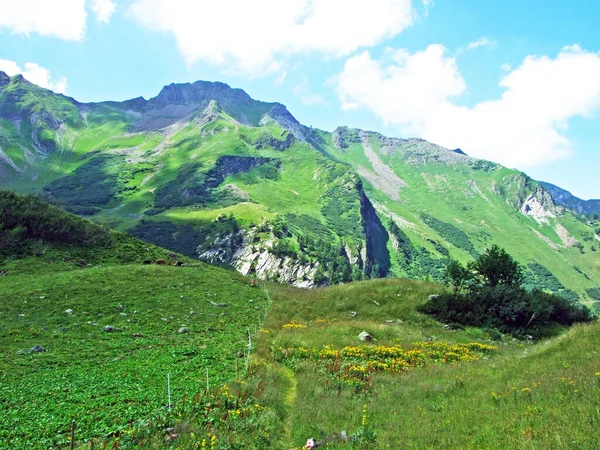 Pohled Malebné Vrcholky Lichtenštejnského Horského Masivu Naaftalského Alpského Údolí Steg — Stock fotografie