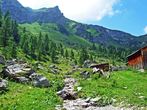 Widok Malownicze Szczyty Masywu Górskiego Alp Liechtensteinu Doliny Naaftal Steg — Zdjęcie stockowe