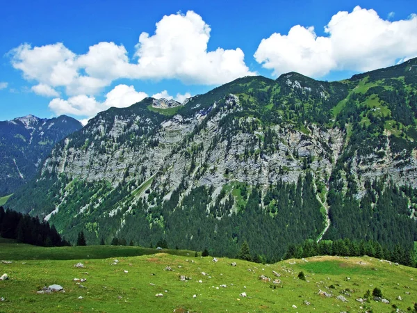 从列支敦士登纳夫塔勒高山谷地到斯泰格的列支敦士登阿尔卑斯山脉地块的风景秀丽的山峰 — 图库照片