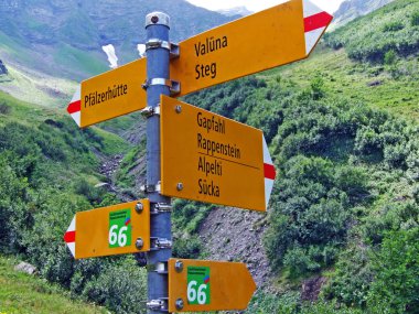Liechtenstein Alp Dağları 'nda yürüyüş ve yürüyüş yolları, ve Naaftal ve Saminatal Alp vadileri boyunca - Steg, Liechtenstein