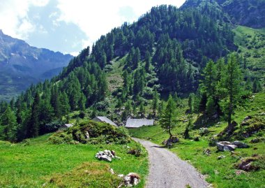 Liechtenstein Alp Dağları 'nda yürüyüş ve yürüyüş yolları, ve Naaftal ve Saminatal Alp vadileri boyunca - Steg, Liechtenstein