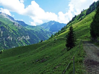 Liechtenstein Alp Dağları 'nda yürüyüş ve yürüyüş yolları, ve Naaftal ve Saminatal Alp vadileri boyunca - Steg, Liechtenstein