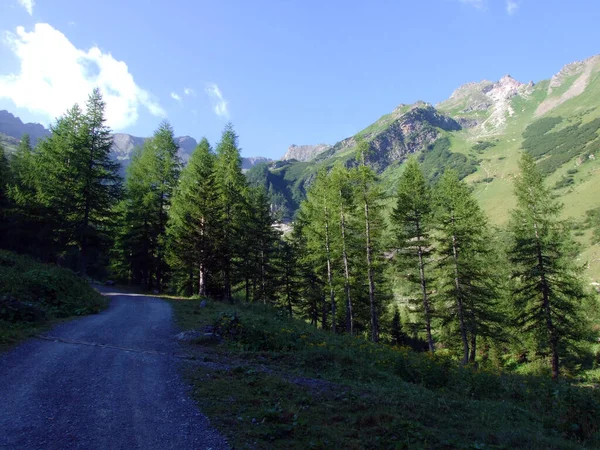 Sentiers Pédestres Pédestres Dans Les Alpes Liechtenstein Long Des Vallées — Photo