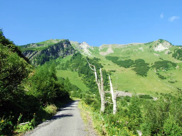 Szlaki Spacerowe Turystyczne Alpach Lichtensteinskich Oraz Wzdłuż Doliny Naaftal Saminatal — Zdjęcie stockowe