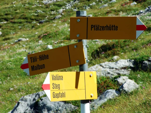 Wandel Wandelpaden Liechtenstein Alpen Langs Naaftal Saminatal Alpendalen Steg Liechtenstein — Stockfoto
