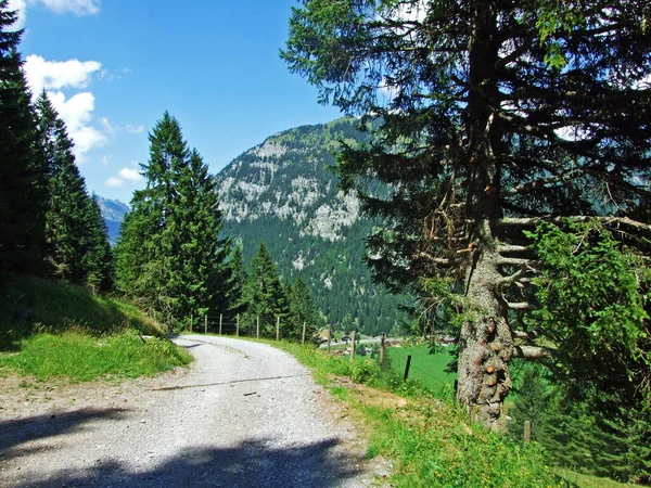 在列支敦士登阿尔卑斯山山脉 纳法尔河和萨莫林阿尔卑斯山谷沿线的步行和远足小径 列支敦士登斯泰格 — 图库照片