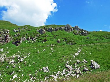 Saminatal ve Naaftal alp vadilerindeki çayırlarda ve Lihtenştayn Alpleri 'ndeki dağ yamaçlarında Steg, Lihtenştayn
