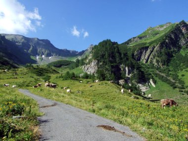 Lihtenştayn Alp Dağları yamaçlarında ve Saminatal Alp Vadisi 'nde Steg, Lihtenştayn
