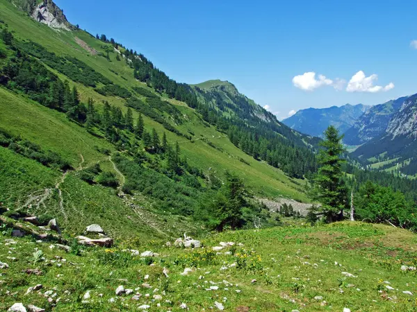 Pastos Prados Alpinos Los Valles Alpinos Saminatal Naaftal Los Alpes — Foto de Stock