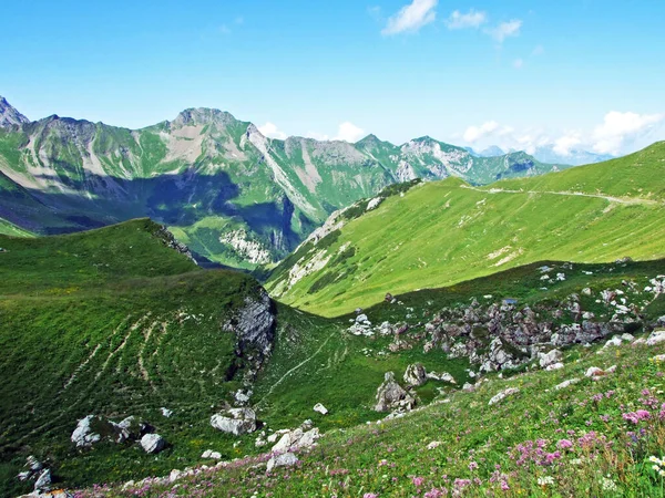 Pastos Prados Alpinos Los Valles Alpinos Saminatal Naaftal Los Alpes —  Fotos de Stock