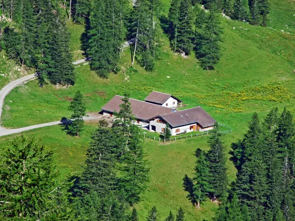 Granjas Ganaderas Arquitectura Tradicional Valle Alpino Saminatal Cordillera Los Alpes — Foto de Stock