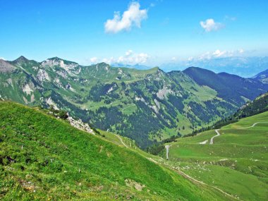 Resimli Naaftal Alp Vadisi 'nin sonunda ve Lihtenştayn Dağları' nda Steg, Lihtenştayn 'da geniş çayırları olan tenha bir çiftlik.