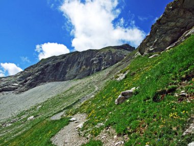 Naaftal ve Saminatal alp vadileri ve Lihtenştayn Alpleri 'ndeki dağ tepeleri Steg, Lihtenştayn