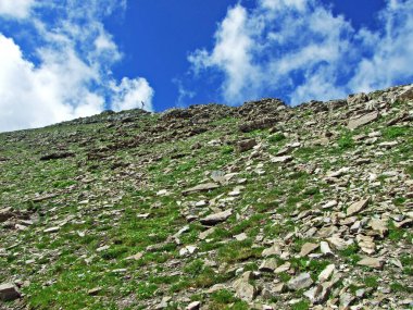 Naaftal ve Saminatal alp vadileri ve Lihtenştayn Alpleri 'ndeki dağ tepeleri Steg, Lihtenştayn