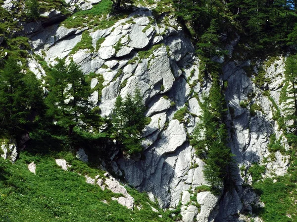 Rochers Pierres Massif Montagneux Des Alpes Liechtenstein Vallée Alpine Naaftal — Photo