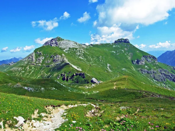 Alpejskie Szczyty Górskie Augstenberg Gorfion Nad Saminatalną Doliną Alpejską Oraz — Zdjęcie stockowe