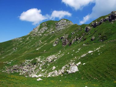 Çimenli Alp Vadisi Hottatal veya Hoettatal Augstenberg zirvesinin altında ve Lihtenştayn Dağları 'nda Steg, Lihtenştayn
