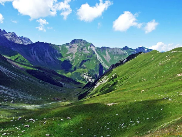Grassy Alpine Valley Naaftal Peak Naafkopf Liechtenstein Alps Mountain Massiv — Φωτογραφία Αρχείου