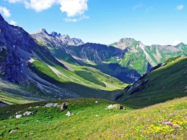 Valle Alpino Herboso Naaftal Debajo Del Pico Naafkopf Los Alpes —  Fotos de Stock